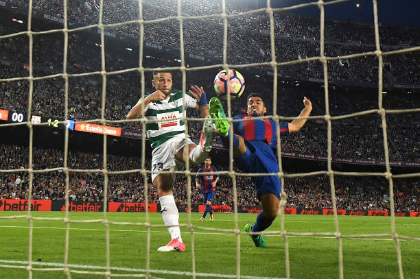 比利时队历史最佳战绩盘点:哪些时刻值得铭记?