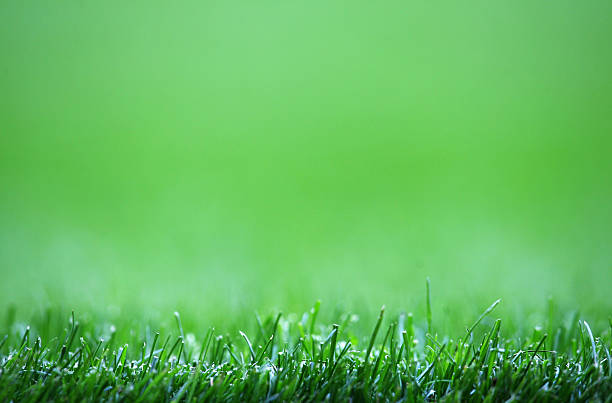 中超联赛直播指南:五大平台任你选