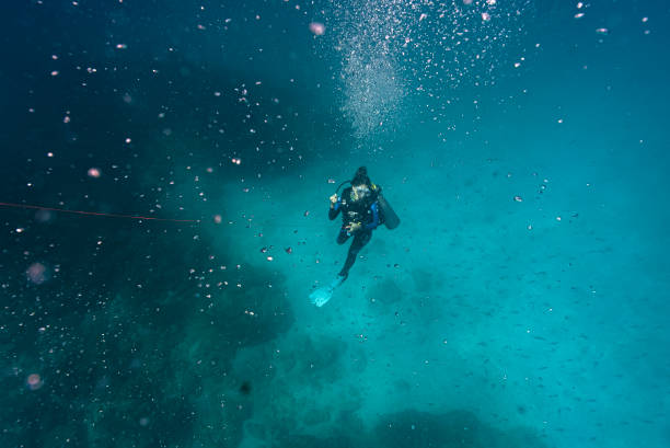 田径二级运动员标准解析：各项目最低达标线
