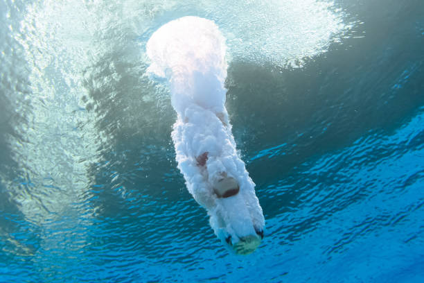 马拉松世界纪录突破：科技与训练如何推动极限？